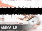 Download mouser Animated PowerPoint Template and other software plugins for Microsoft PowerPoint