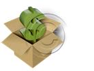 Presentationpro.com Powerpoint Products and Services