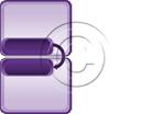 Presentationpro.com Powerpoint Products and Services