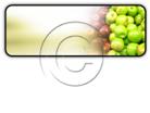 Presentationpro.com Powerpoint Products and Services