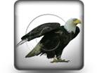 Presentationpro.com Powerpoint Products and Services