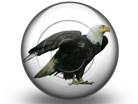 Presentationpro.com Powerpoint Products and Services