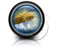 Presentationpro.com Powerpoint Products and Services