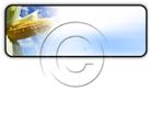 Presentationpro.com Powerpoint Products and Services