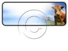 Presentationpro.com Powerpoint Products and Services