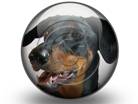 Presentationpro.com Powerpoint Products and Services