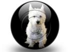 Presentationpro.com Powerpoint Products and Services
