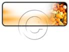 Presentationpro.com Powerpoint Products and Services