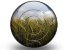 Presentationpro.com Powerpoint Products and Services