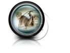 Presentationpro.com Powerpoint Products and Services