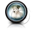 Presentationpro.com Powerpoint Products and Services