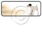 Presentationpro.com Powerpoint Products and Services