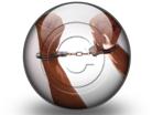 Presentationpro.com Powerpoint Products and Services