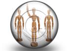 Presentationpro.com Powerpoint Products and Services