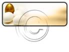 Download nestegg h PowerPoint Icon and other software plugins for Microsoft PowerPoint
