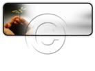 Download newgrowth h PowerPoint Icon and other software plugins for Microsoft PowerPoint
