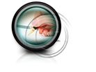 Download writinghand c PowerPoint Icon and other software plugins for Microsoft PowerPoint