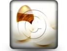 Presentationpro.com Powerpoint Products and Services