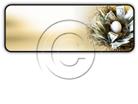 Presentationpro.com Powerpoint Products and Services