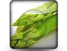 Presentationpro.com Powerpoint Products and Services