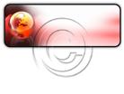 Presentationpro.com Powerpoint Products and Services