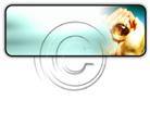 Presentationpro.com Powerpoint Products and Services
