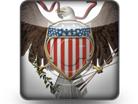 Presentationpro.com Powerpoint Products and Services