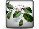 Download holly leaves b PowerPoint Icon and other software plugins for Microsoft PowerPoint