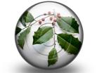 Download holly leaves s PowerPoint Icon and other software plugins for Microsoft PowerPoint