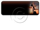 Presentationpro.com Powerpoint Products and Services