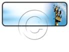 Presentationpro.com Powerpoint Products and Services