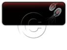 Presentationpro.com Powerpoint Products and Services