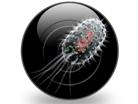 Presentationpro.com Powerpoint Products and Services