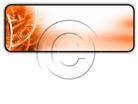 Presentationpro.com Powerpoint Products and Services