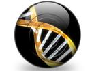 Presentationpro.com Powerpoint Products and Services