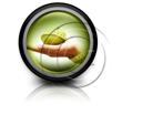 Presentationpro.com Powerpoint Products and Services