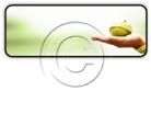 Presentationpro.com Powerpoint Products and Services