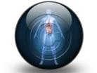Presentationpro.com Powerpoint Products and Services