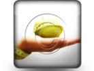Presentationpro.com Powerpoint Products and Services