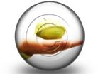 Presentationpro.com Powerpoint Products and Services