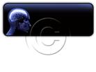 Presentationpro.com Powerpoint Products and Services