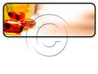 Presentationpro.com Powerpoint Products and Services