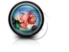 Presentationpro.com Powerpoint Products and Services