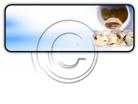 Presentationpro.com Powerpoint Products and Services