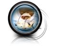 Presentationpro.com Powerpoint Products and Services