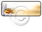 Presentationpro.com Powerpoint Products and Services