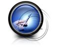 Presentationpro.com Powerpoint Products and Services