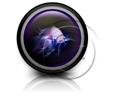 Presentationpro.com Powerpoint Products and Services