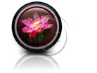 Presentationpro.com Powerpoint Products and Services