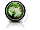 Presentationpro.com Powerpoint Products and Services